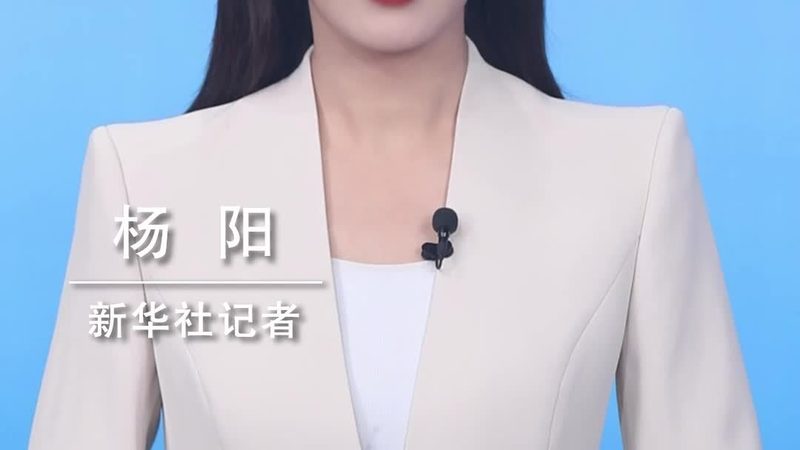 数据可视化新利器：Power BI 的应用与实操指南